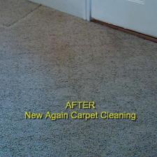 Pet Stain Removal Gallery 1