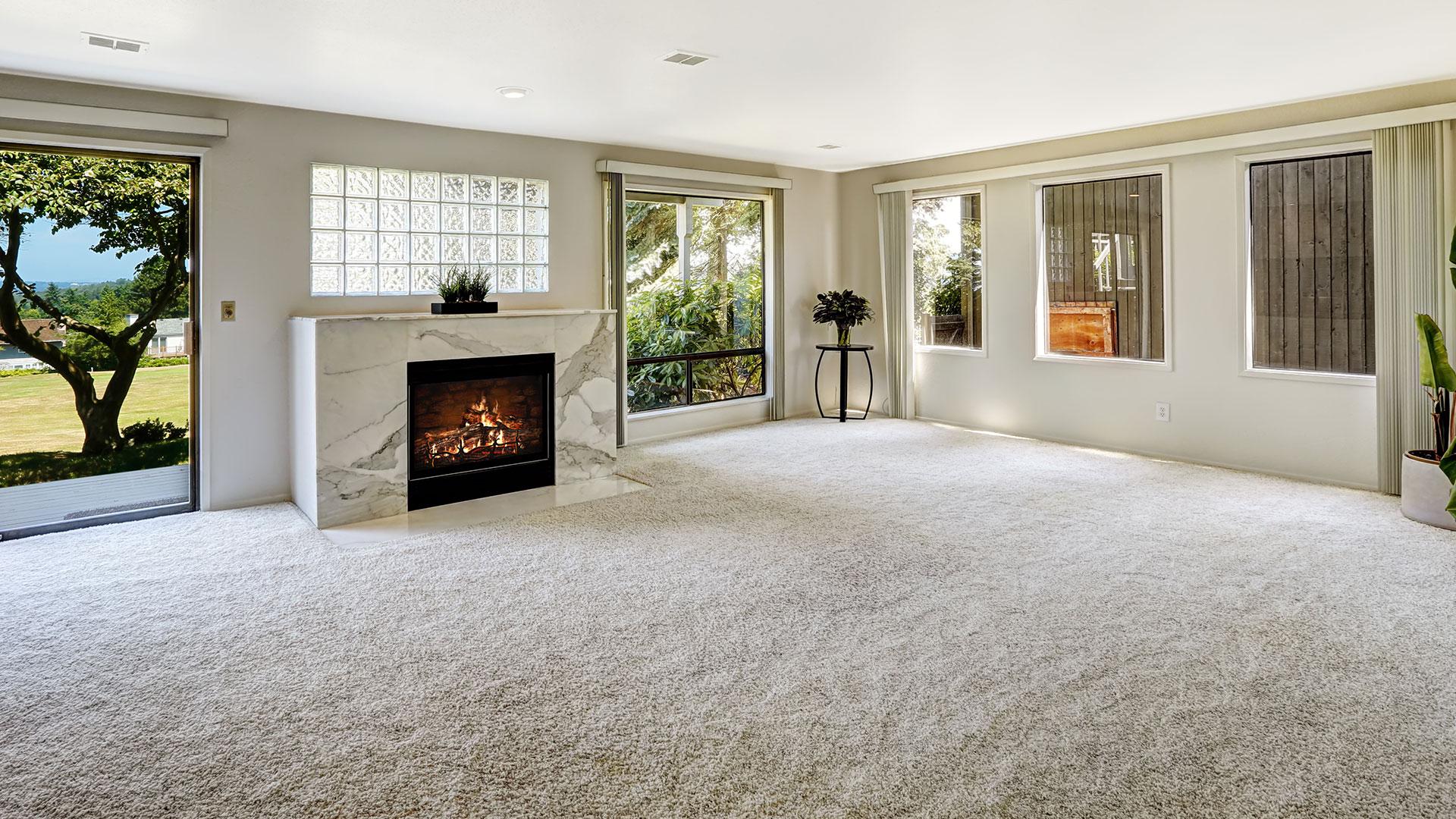 carpet cleaning company