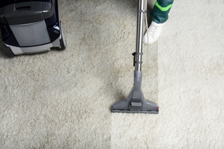 Albion's #1 Carpet Cleaning Services