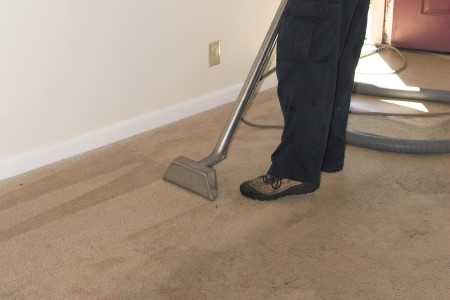 Bluffton in carpet cleaning