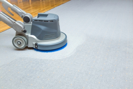 New haven in carpet cleaning