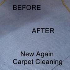 Carpet Cleaning Gallery 7
