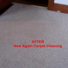 Carpet Cleaning Gallery 3