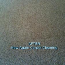 Carpet Cleaning Gallery 5