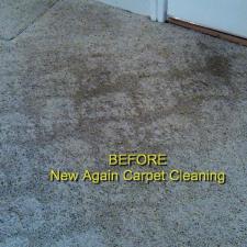 Pet Stain Removal Gallery 0