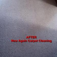 Pet Stain Removal Gallery 3