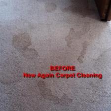 Pet Stain Removal Gallery 2