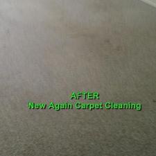 Pet Stain Removal Gallery 5