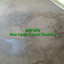 Pet Stain Removal Gallery 4