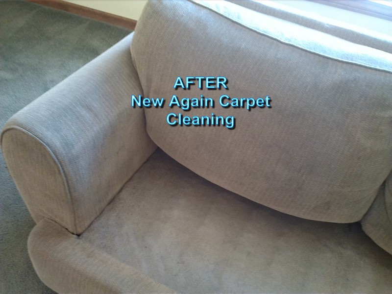 Upholstery cleaning Roanoke IN