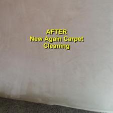 Upholstery Cleaning Gallery 3