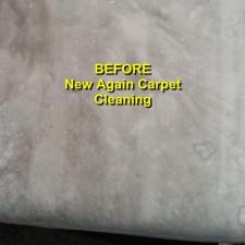 Upholstery Cleaning Gallery 2