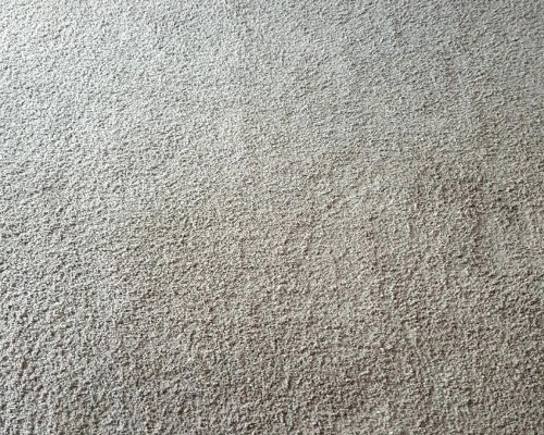 S carpet cleaning