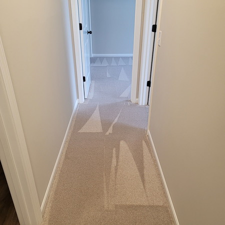 Alternative to carpet steam cleaning a faster better option for your home