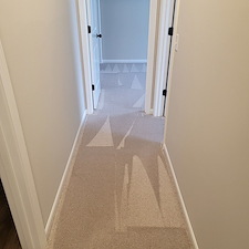 Alternative to Carpet Steam Cleaning: A Faster, Better Option for Your Home
