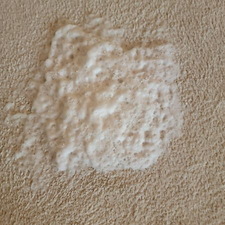 Dry Foam Carpet Cleaning: The Better Alternative to Carpet Steam Cleaning