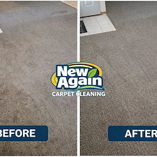Top Commercial Carpet Cleaning Company in Fort Wayne