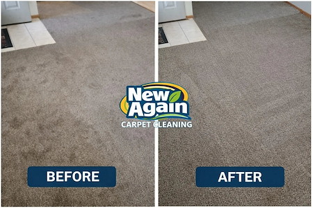 Top commercial carpet cleaning company in fort wayne