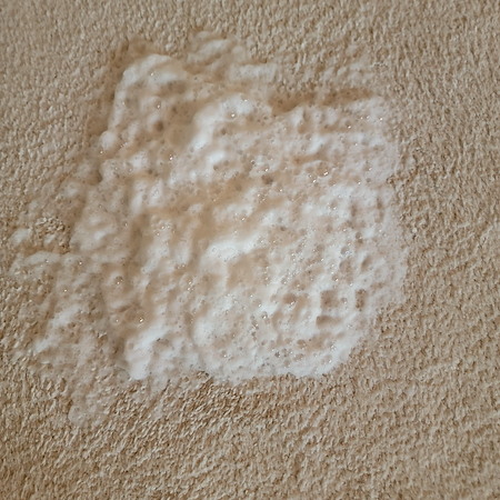 Why homeowners choose fast drying carpet cleaning over traditional methods