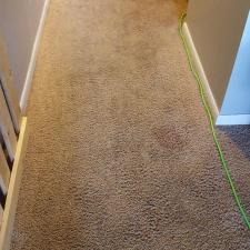 Carpet Cleaning Anew in Fort Wayne, Indiana 0