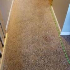Carpet Cleaning Anew in Fort Wayne, Indiana