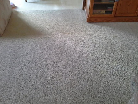 Carpet pet stain removal performed in Fort Wayne, Indiana