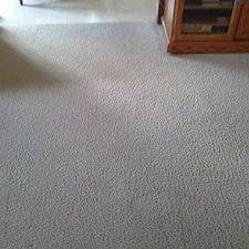 Carpet Pet Stain Removal Performed in Fort Wayne, IN 1