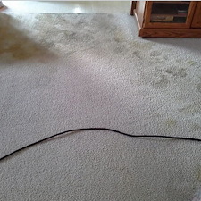Carpet Pet Stain Removal Performed in Fort Wayne, IN 2