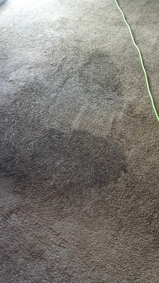 carpet stain removal