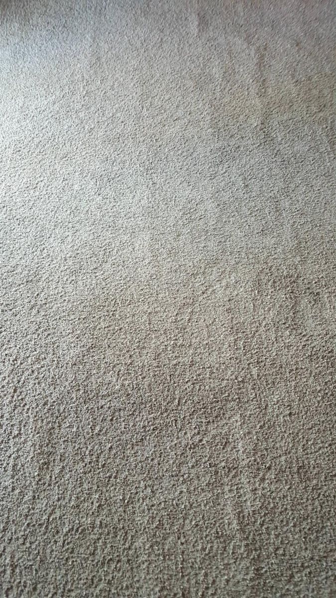 carpet stain removal