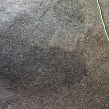 Carpet Stain Removal in Fort Wayne, Indiana 0