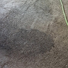 Carpet Stain Removal in Fort Wayne, Indiana 0