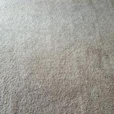 Carpet Stain Removal in Fort Wayne, Indiana