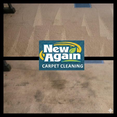 Professional dry foam carpet cleaning in fort wayne cover