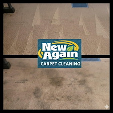Professional Dry Foam Carpet Cleaning In Fort Wayne 0