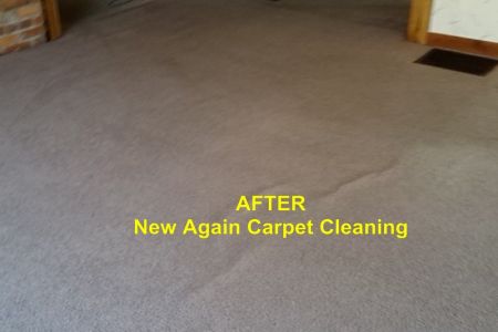 Carpet cleaning after