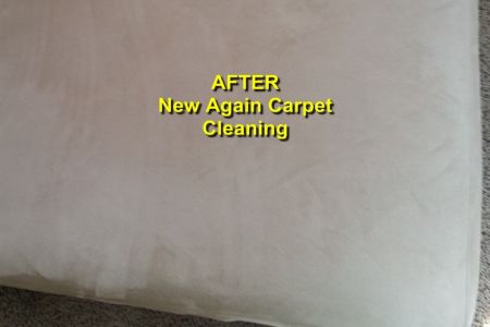 Upholstery cleaning after