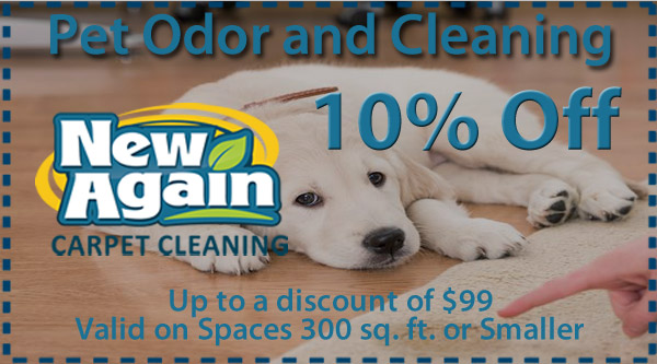 pet stain carpet cleaning coupon